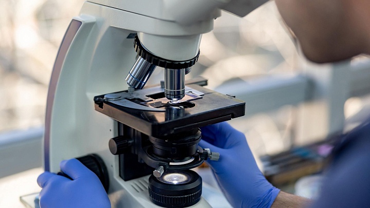 Сибирские ученые нашли соединение, подавляющее агрессивную опухоль мозга